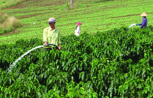 Avances firmes en la situación socio-económica de Tay Nguyen