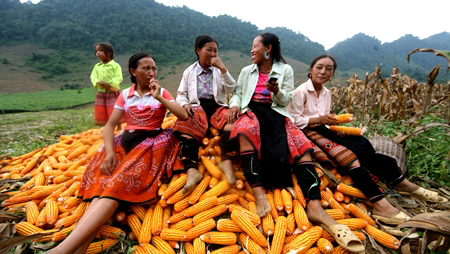 FAO: Sudeste de Asia protagoniza lucha contra el hambre