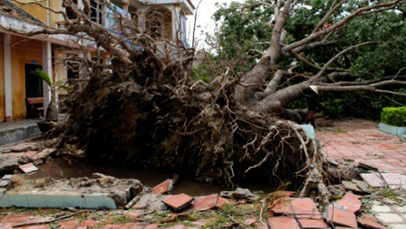 Prosiguen actividades en apoyo a damnificados por huracán Wutip