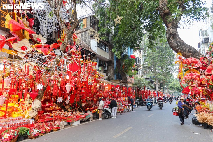 La magie du Têt sur la rue Hàng Ma: décorations et traditions en fête