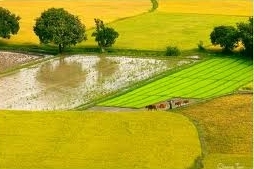 Verbesserung des Ansehens ländlicher vietnamesischer Gebiete