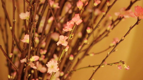 Neujahrsfest Tet für die derzeit im Ausland lebenden Vietnamesen