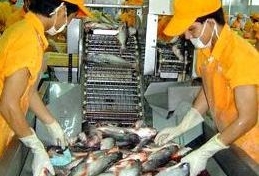 Vietnam begrüßt die Aufhebung des Kontrollprogramms von Pangasius in den USA