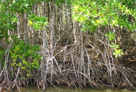 Briefkastensendung vom 27.06.2012