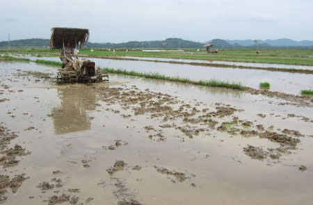 Straßenbau in der nordvietnamesischen Provinz Tuyen Quang