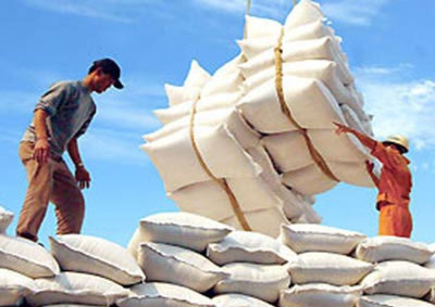 Export von Meeresfrüchten, Land- und Forstwirtschaftsprodukten steigt