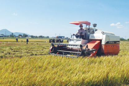 Provinz Ninh Thuan mit der Neugestaltung ländlicher Räume