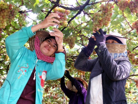 Kooperation zur Neugestaltung ländlicher Räume in Ninh Thuan