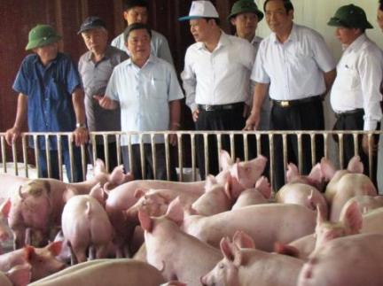 Seminar über die Verbesserung der Fachkenntnisse für Bauern