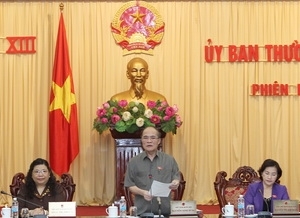 Ständiger Parlamentsausschuss berät über wirtschaftliche und gesellschaftliche Entwicklung