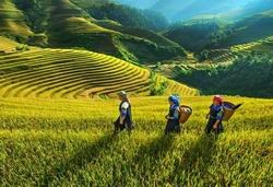 Tourismus im Nordwesten für wirtschaftliche Entwicklung