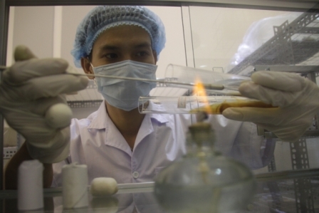 Ngo Kim Lai – der erste vietnamesische Raupenpilzzüchter in Vietnam