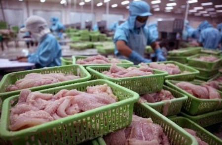 Vietnam ist der größte Fischexporteur Kolumbiens