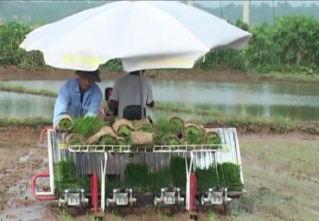 Die Anwendung von Maschinen erhöht die Produktivität in der Landwirtschaft
