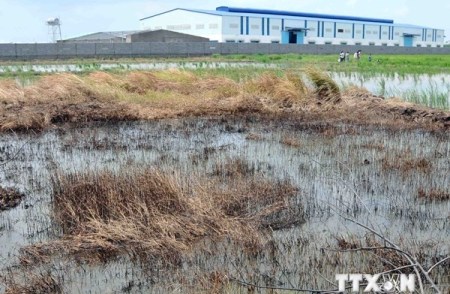 Bilanz der Zusammenarbeit zwischen Vietnam und Deutschland beim Schutz von Naturressourcen
