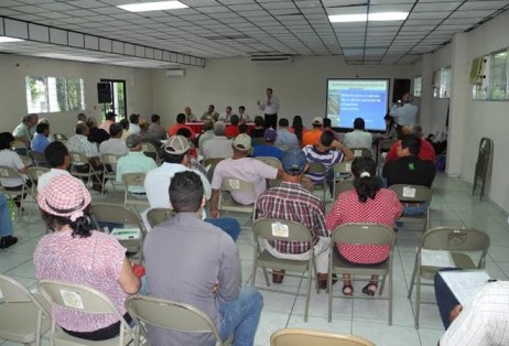 Panama will mit Vietnam beim Reisanbau und –Verbrauch zusammenarbeiten