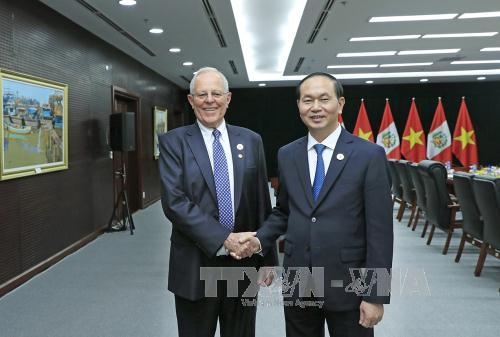 Staatspräsident Tran Dai Quang trifft Staats- und Regierungschefs der APEC-Wirtschaften