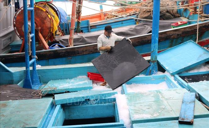 Fischer in Khanh Hoa fahren lebhaft auf das Meer hinaus