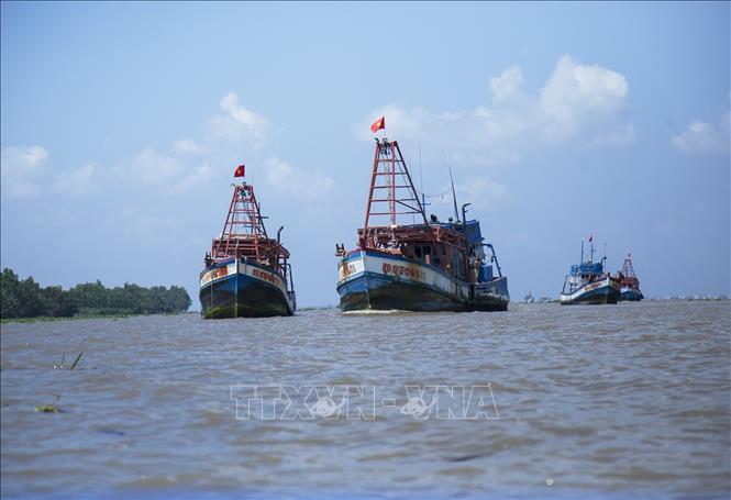 EC tagt online zur Aufhebung der gelben IUU-Karte gegen Vietnam