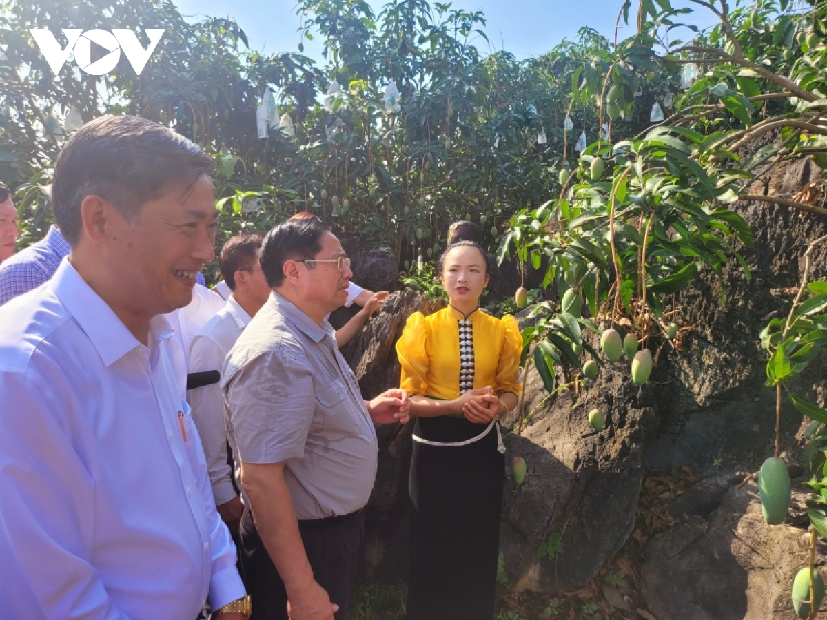 Premierminister Pham Minh Chinh besucht das landwirtschaftliche Produtionsgebiet Son Las