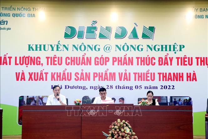 Förderung des Konsums und Exports von Thanh Ha-Litschi