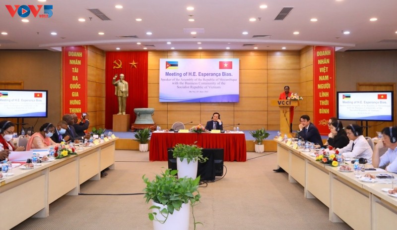 Förderung der Investitionskooperation zwischen Vietnam und Mosambik