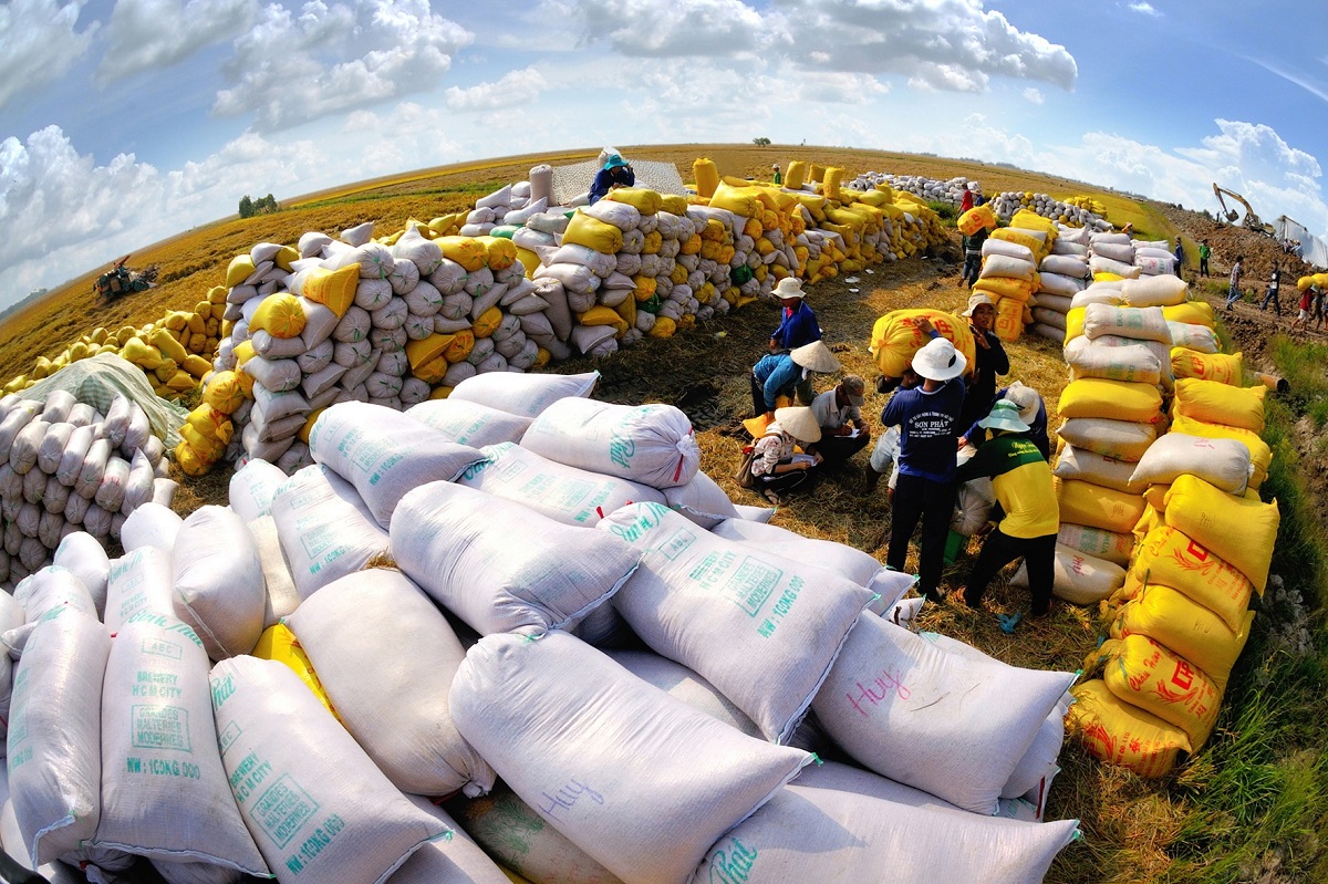 Vietnam gewährleistet globale Lebensmittelsicherheit