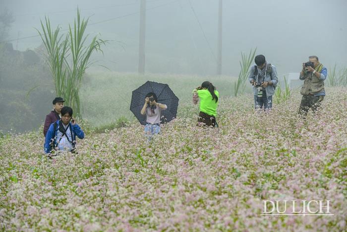Das Fest des Echten Buchweizens 2022