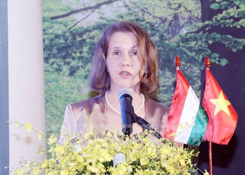 Die Beziehungen zwischen Vietnam und Ungarn durch den Kulturaustausch festigen