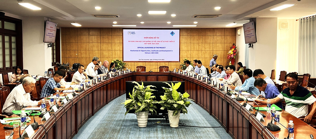 Norwegen unterstützt Vietnam bei der Erforschung von an den Klimawandel angepassten Reissorten