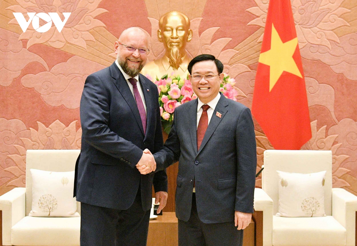Parlamentspräsident Vuong Dinh Hue empfängt den stellvertretenden Präsidenten des tschechischen Unterhauses