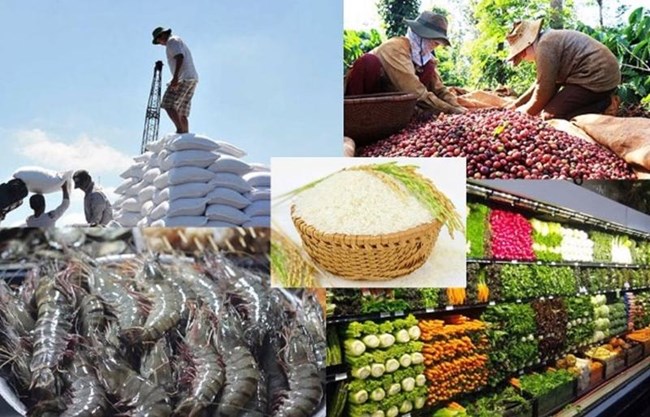 Export von Agrar-, Forst- und Fischereiprodukten aus Vietnam in ASEAN- Ländern steigt stark