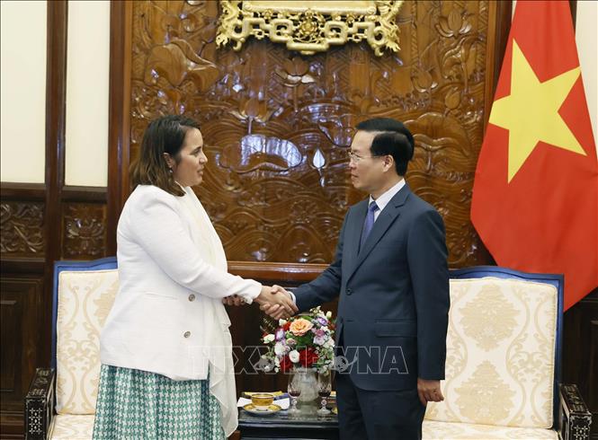 Staatspräsident Vo Van Thuong empfängt Botschafter Neuseelands und Perus