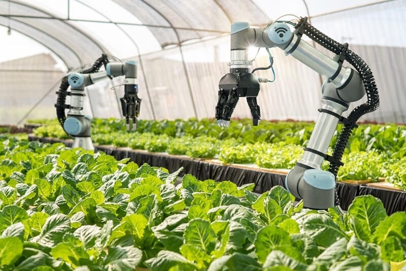 Erfahrungsaustausch in der intelligenten Landwirtschaft zwischen Vietnam und Australien
