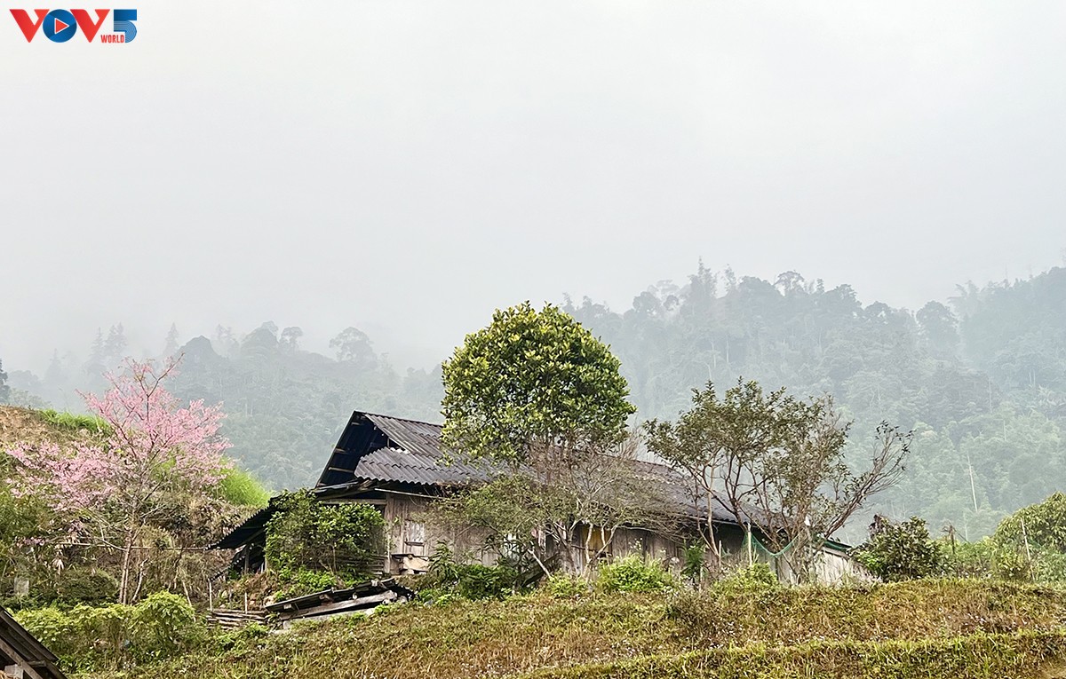 Bergige Dörfer in rosafarbener Kirschblüten