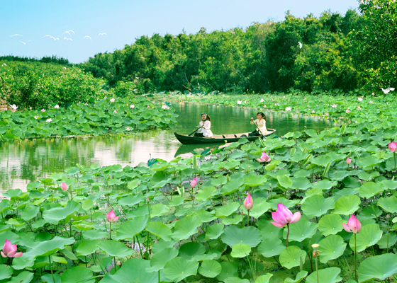 동탑 (Đồng Tháp) 성 탐방