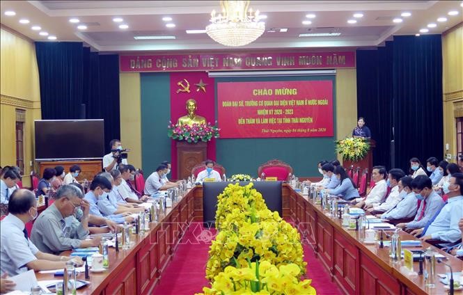 ຄະນະເອກອັກຄະລັດຖະທູດ,ຫົວໜ້າບັນດາອົງການຜູ້ຕາງໜ້າຫວຽດນາມປະຈຳຕ່າງປະເທດເຮັດວຽກຢູ່ແຂວງ ທ໊າຍງວຽນ