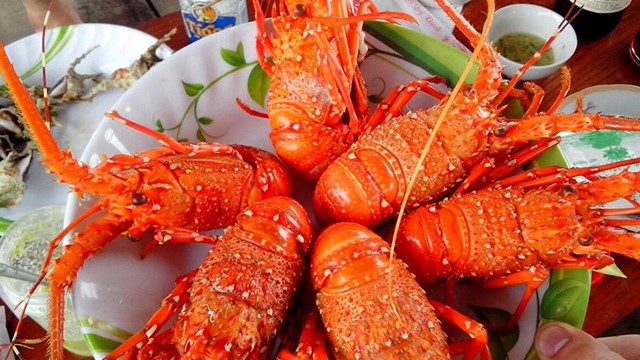 빈바섬에 랍스터로 매력적인 요리