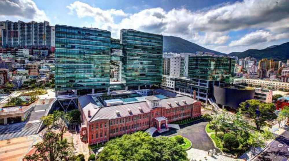 베트남에 대한 아름다운 이미지를 널리 홍보하는 재한 베트남 유학생