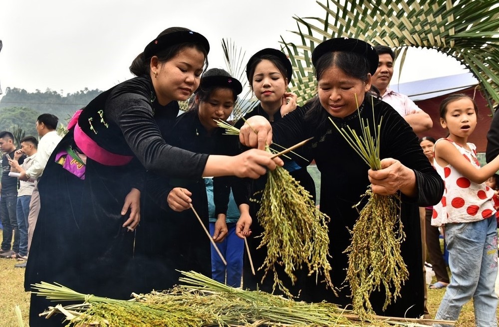 꼼 찧는 축제 - 뚜옌꽝성 따이족의 독특한 전통 문화