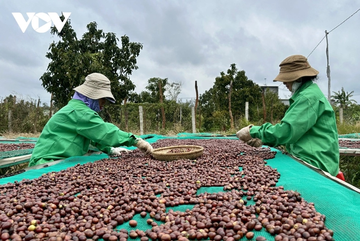 닥락 농산물 품질 향상 및 수출 시장 확대