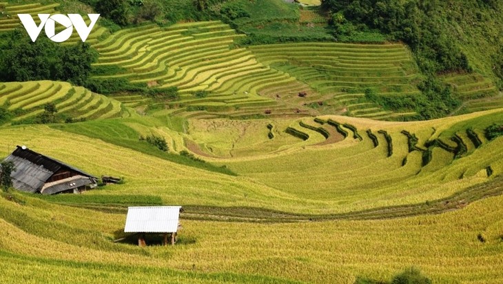 2025 베트남 알아보기 대회 (2025년 3월 17일~23일)