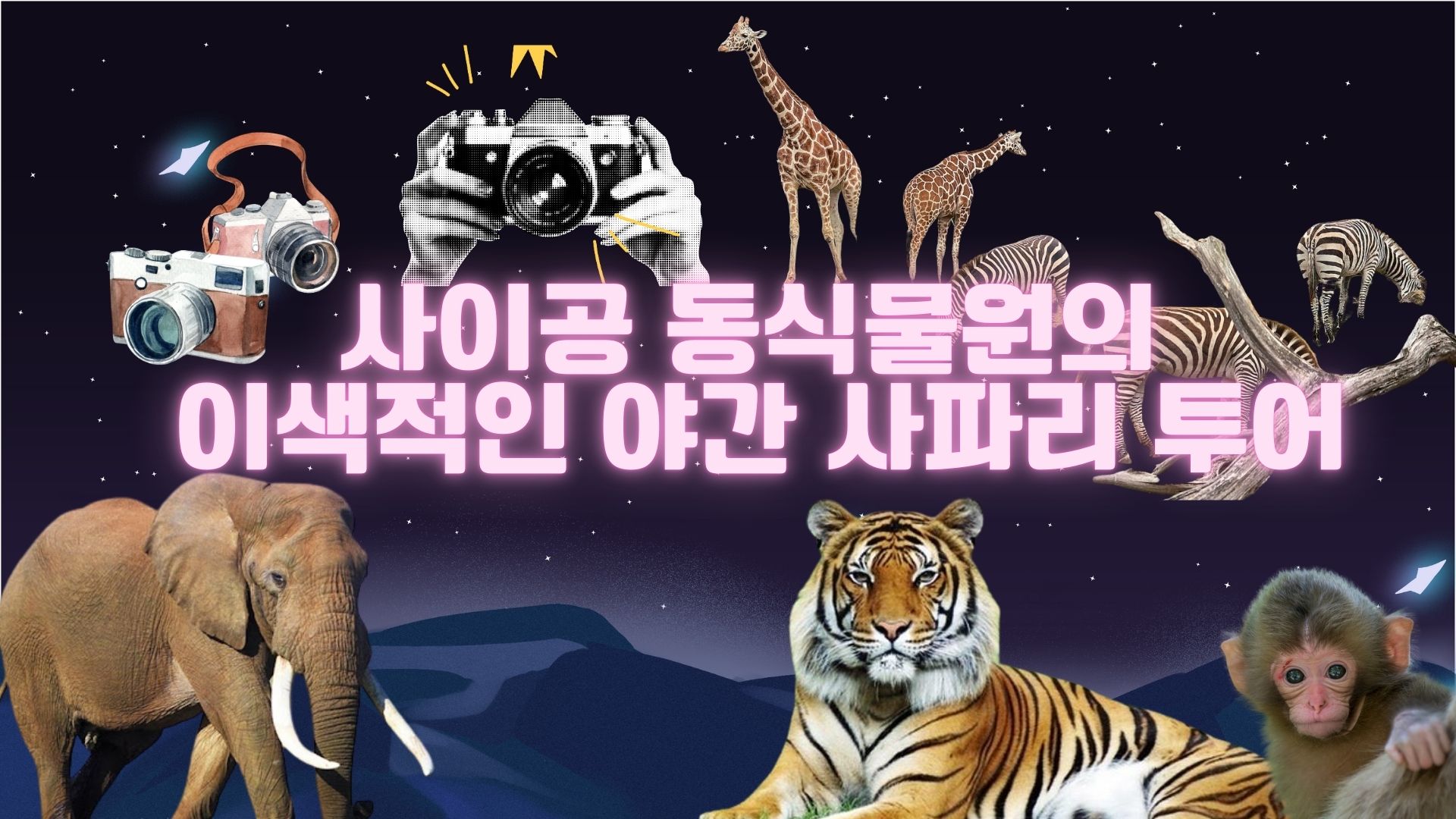 사이공 동식물원의 이색적인 야간 사파리 투어