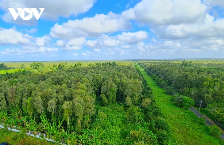 까마우 – 끝없이 펼쳐진 맹그로브 숲