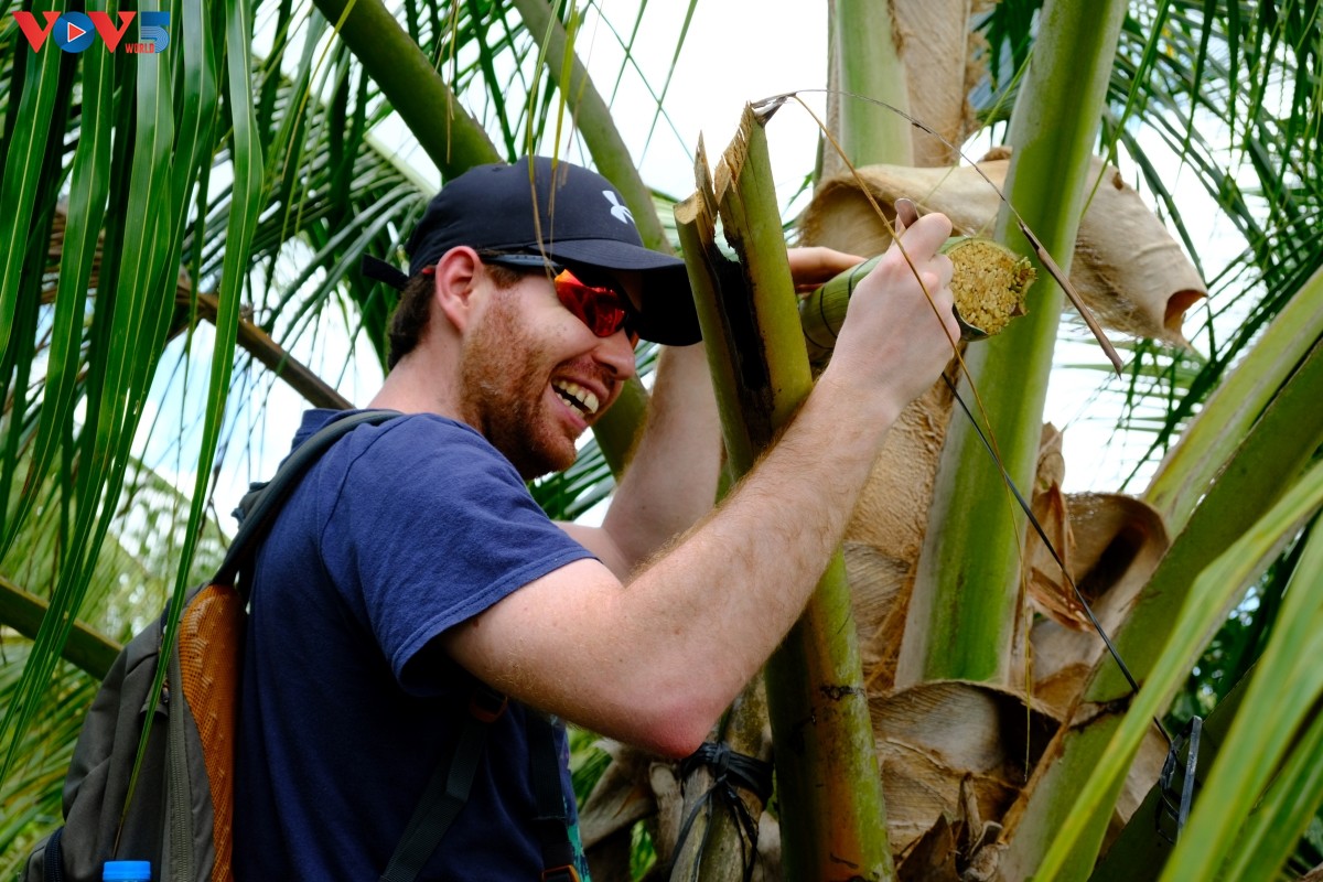 빈롱성 OCOP 사업, 농촌 특산품을 '고향의 홍보대사'로 키운다