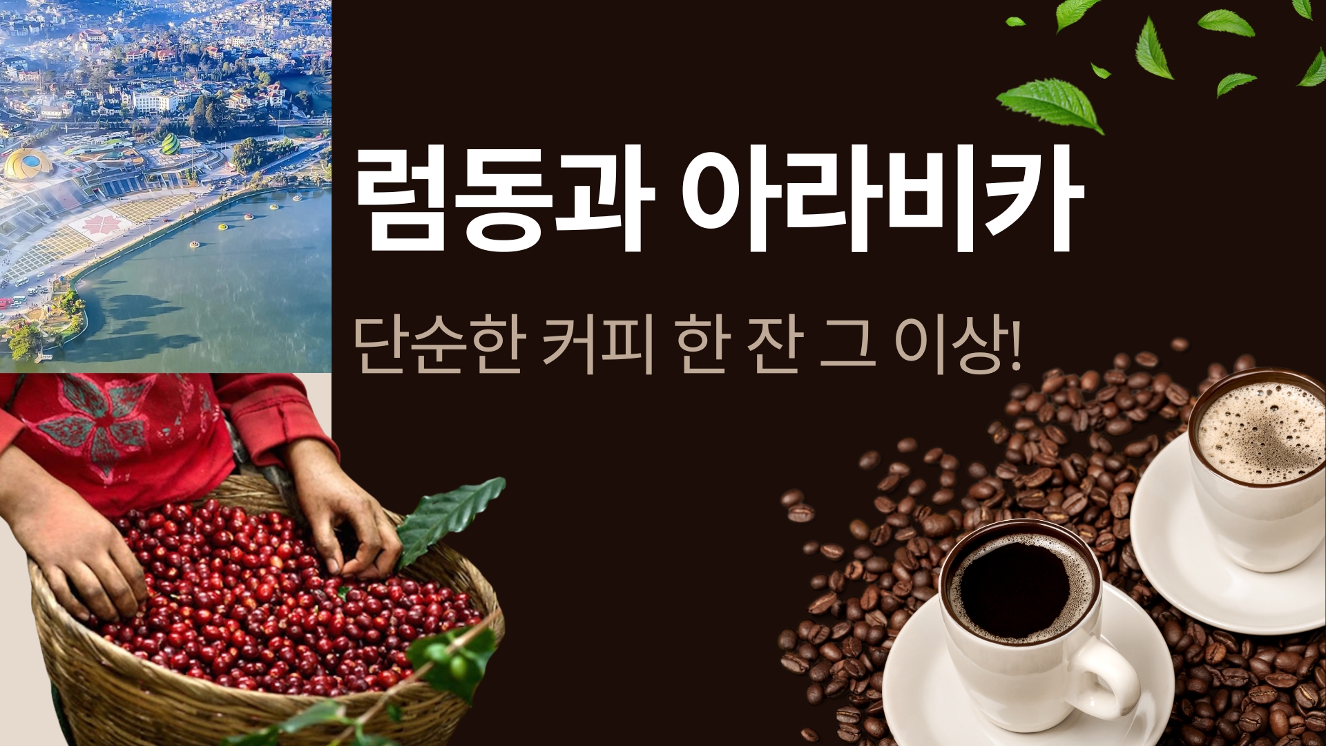 ‘모든 감각을 깨우다’ – 럼동과 아라비카, 단순한 커피 한 잔 그 이상!