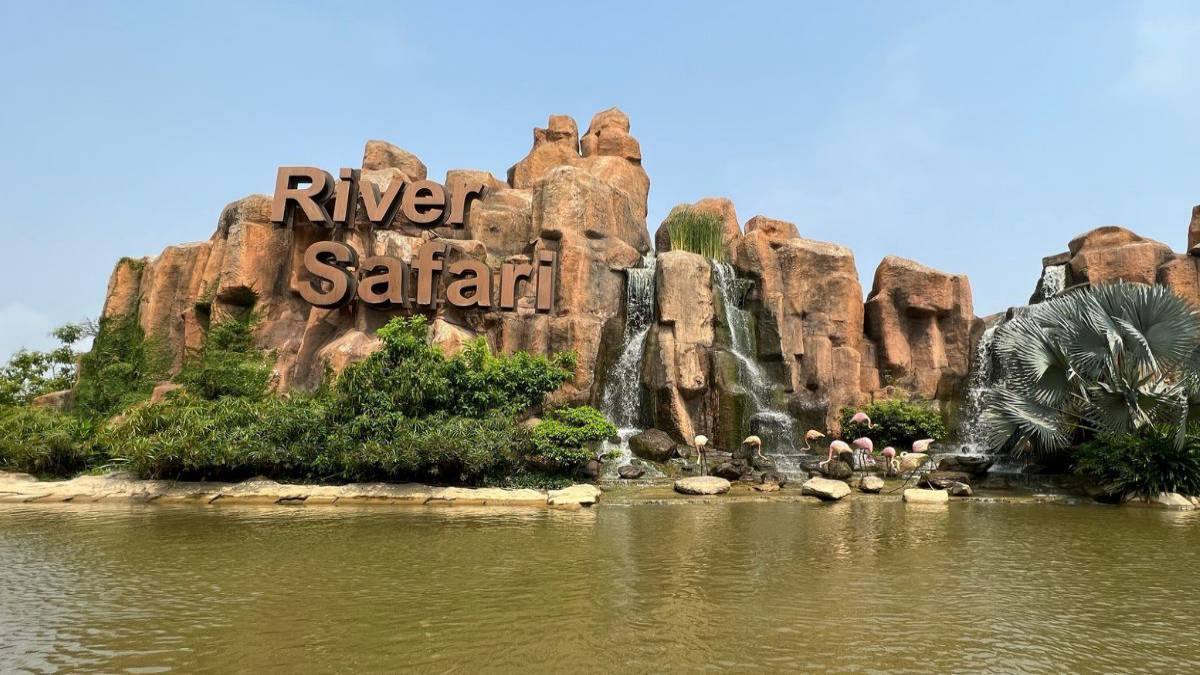 남호이안 리버 사파리 탐험 – 흥미진진한 야생의 세계