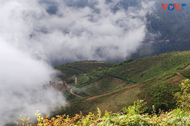 베트남 따쑤어 구름의 천국 – ‘2026년 추천 여행지 목록’에 이름 올려