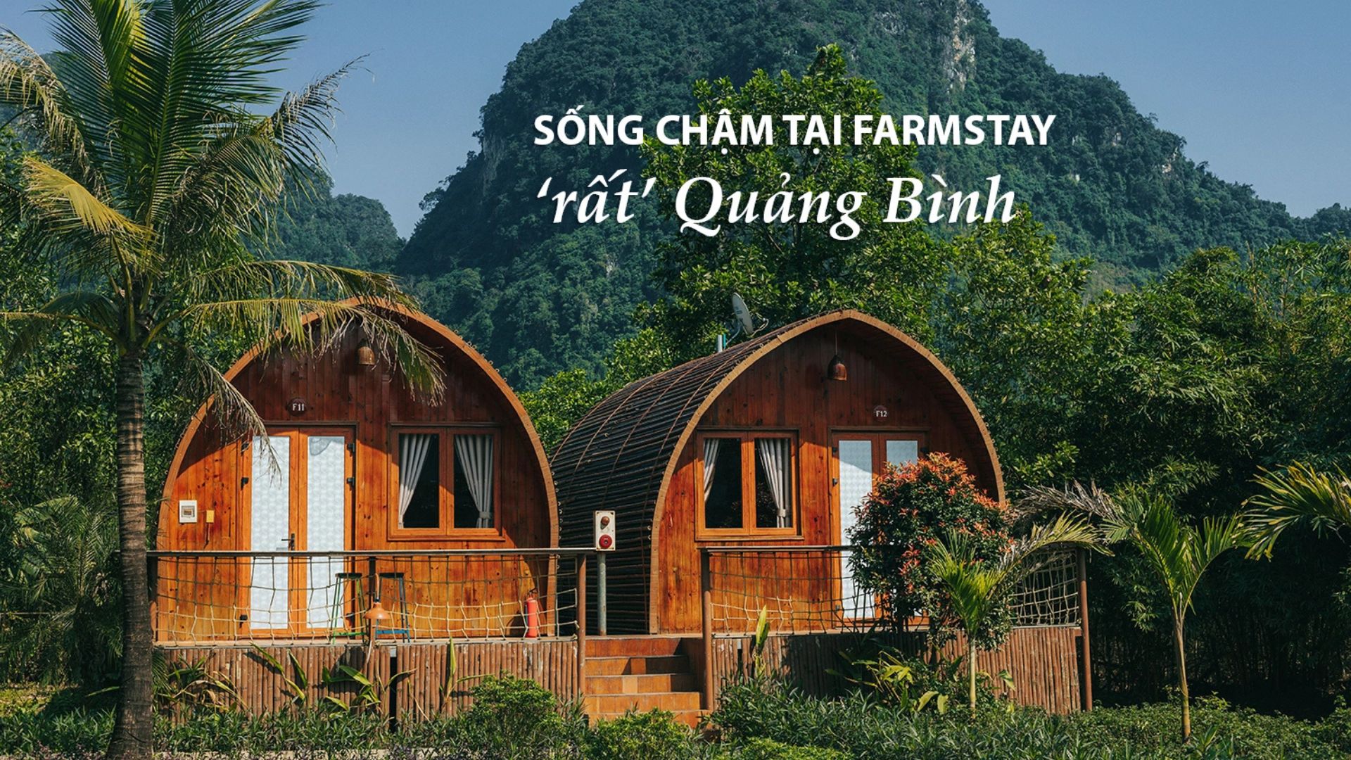 새해 여행: 베트남 중부 꽝빈 지역 짜이럽 팜스테이(Chày Lập Farmstay) 탐방