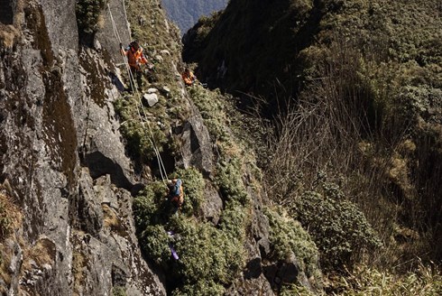 hinh anh: du day nhat rac quanh dinh fansipan sapa hinh 0